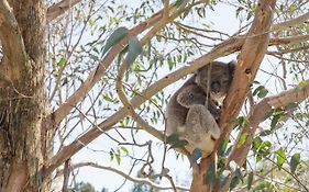 Sequoia Lodge (Adults Only)